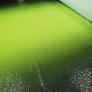 Lycra dégradé paillette argent Noir - Vert